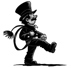 Tilsyn og feiing av alle fritidsboliger